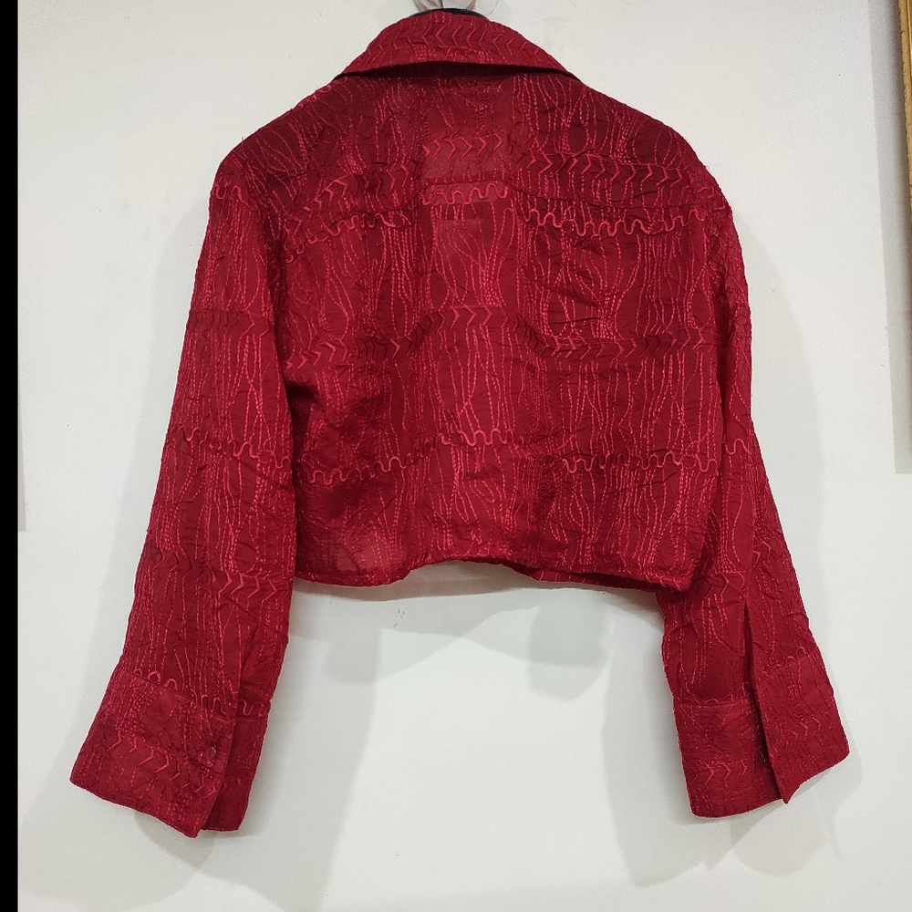 Red Crop Threadwork Shirt ❤ (kinda oversized look) - Picture 8 of 10
